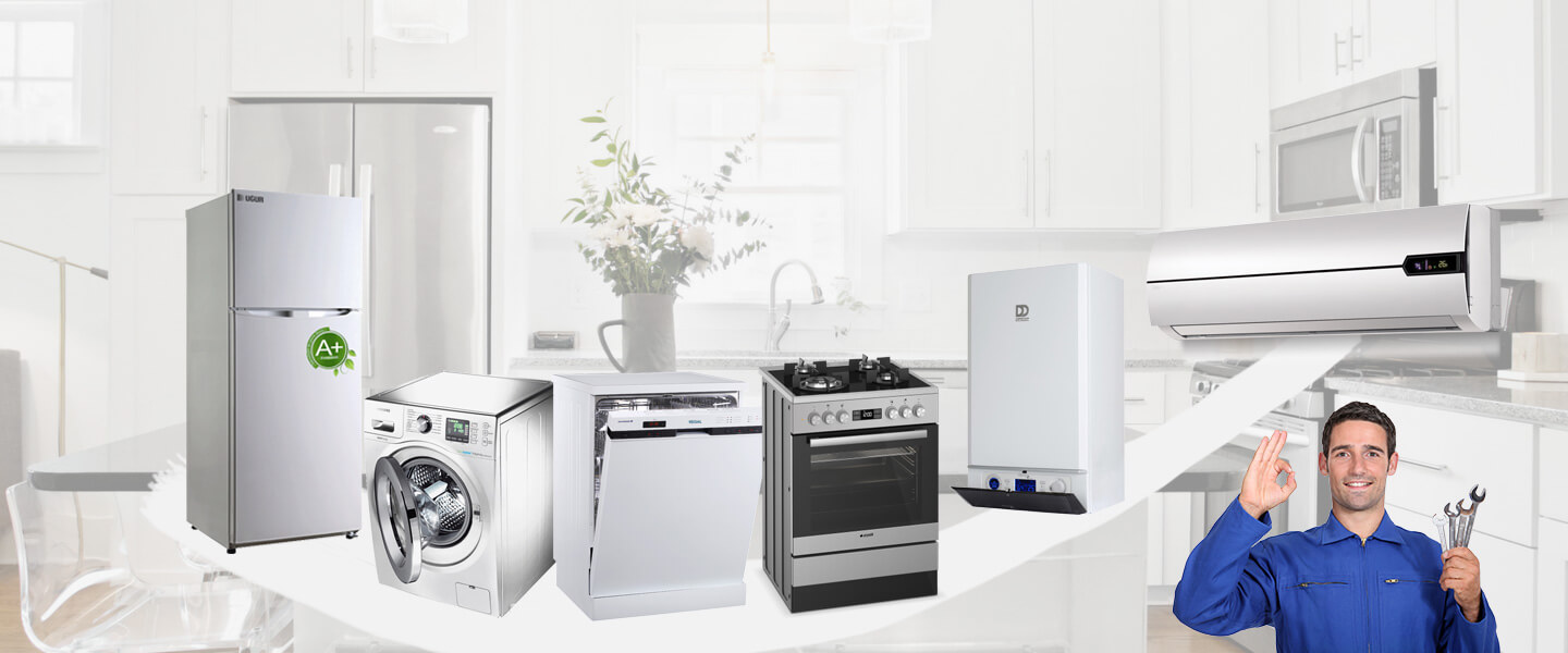 Bahçe Electrolux Servisi